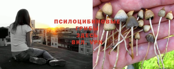 mix Каменка