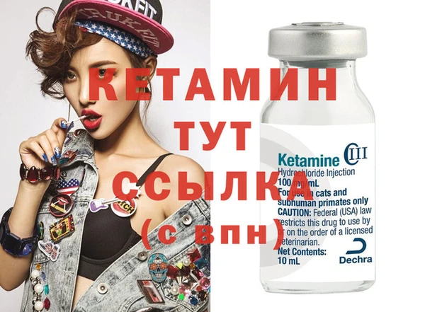 гидра Инсар