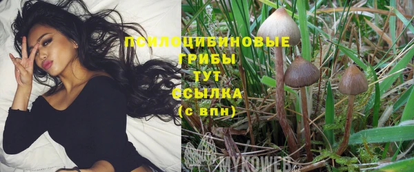 mix Каменка