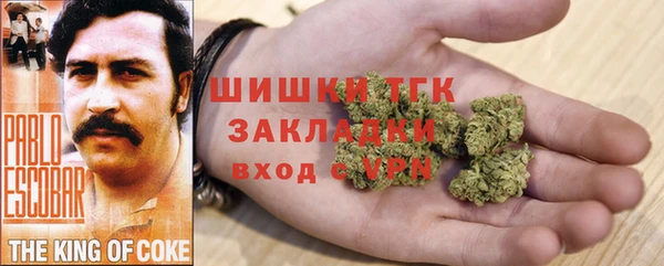 соль ск Каменногорск