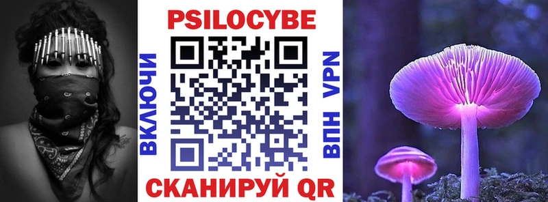 ОМГ ОМГ ссылки  Бердск  Галлюциногенные грибы GOLDEN TEACHER 